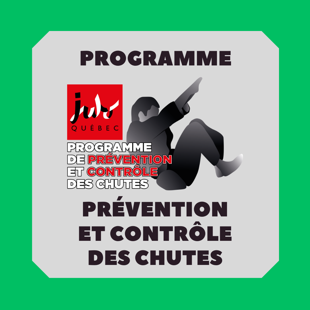 Stage - Programme de prévention et contrôle des chutes (Longueuil août 2026)