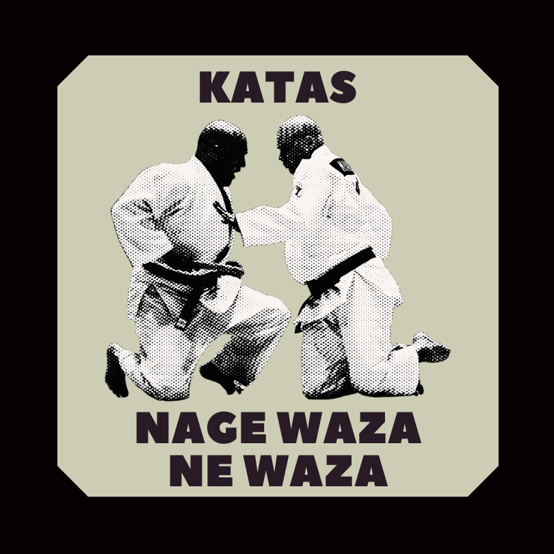 Stage Nage waza/Ne waza (nidan+) / Stage Itsutsu No kata