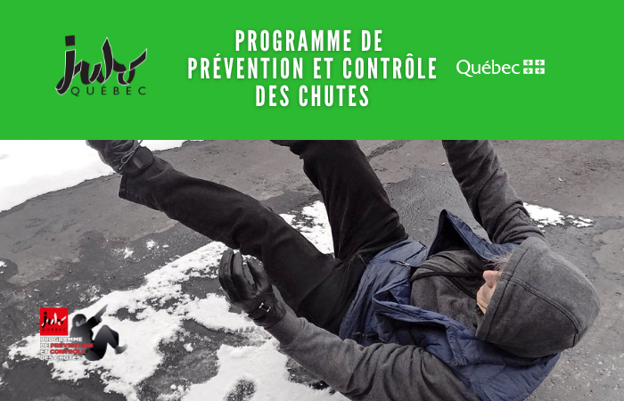 Stage - Programme de prévention et contrôle des chutes